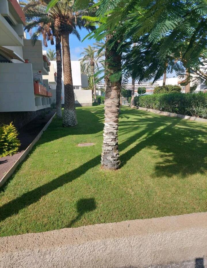 Orita Apartment Las Galletas Exterior photo